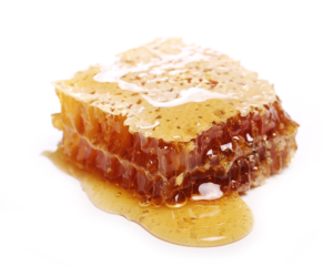 manfaat madu hutan untuk anak